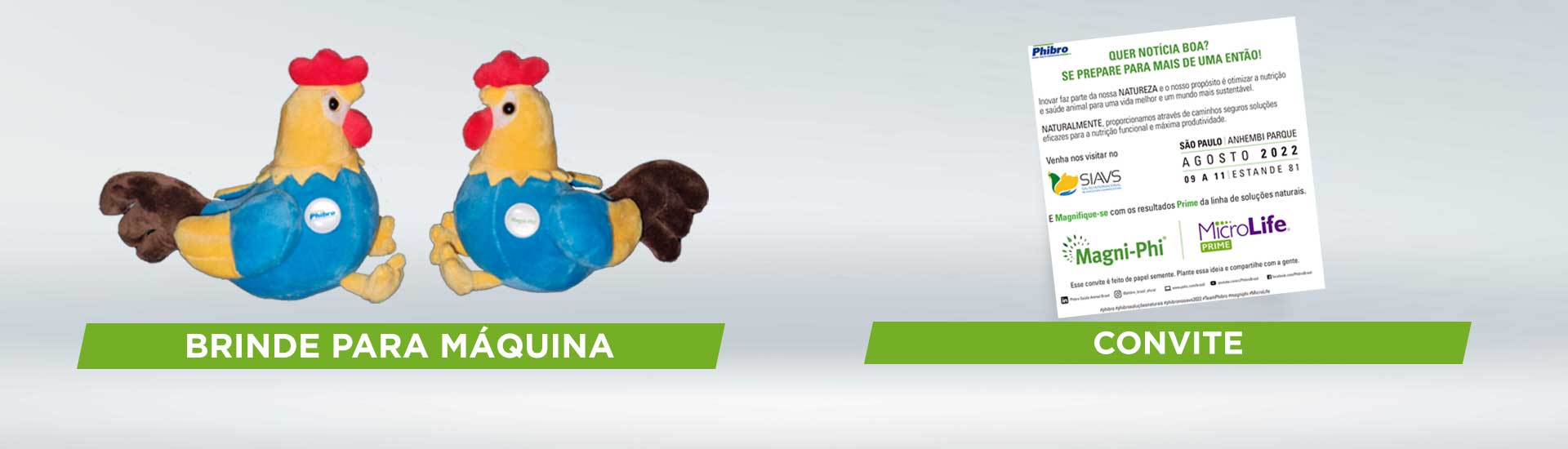 Banner_Rotativo_SIAVIS-05