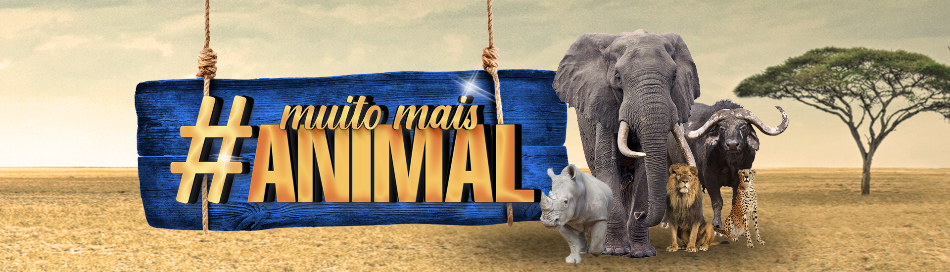 Banner_rotativo_Mais_animal01